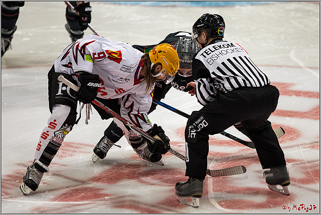 DEL, Koelner Haie - Fishtown Pinguins Bremerhaven, 29.01.2017